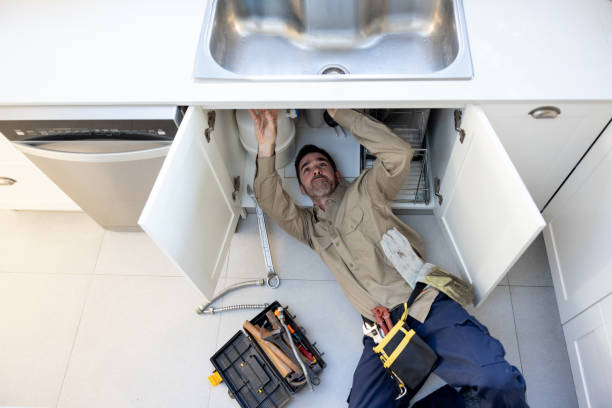 Best Clogged Drain Plumber  in Allegan, MI